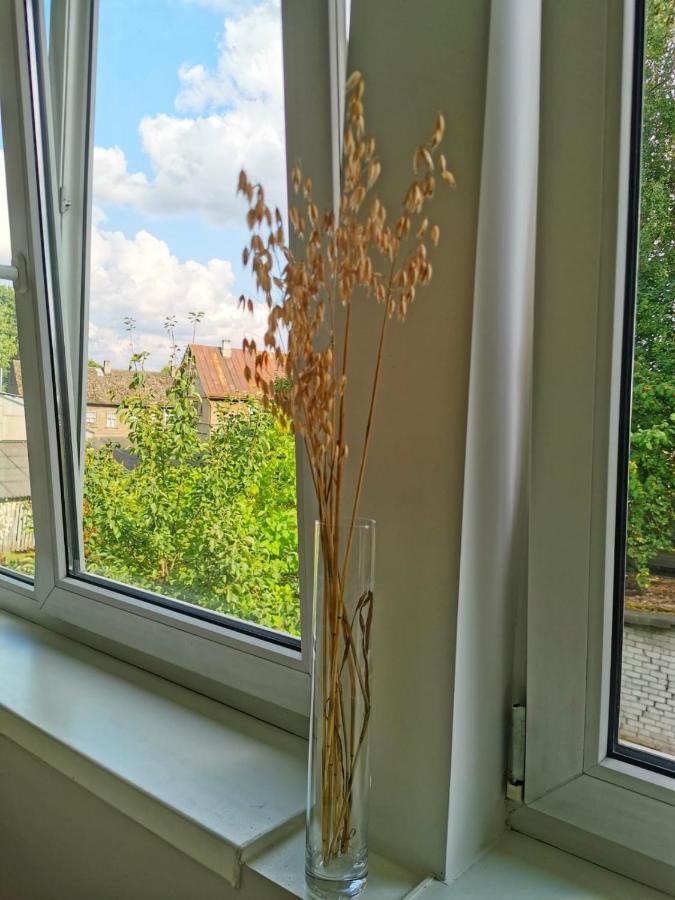 Tolstoi Scandinavian 1 Bedroom Apartment + Free Parking Tartu Buitenkant foto